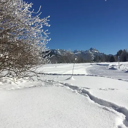 فندق Goldenes Kreuz تانهايم