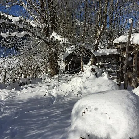 Hotel Goldenes Kreuz Tannheim